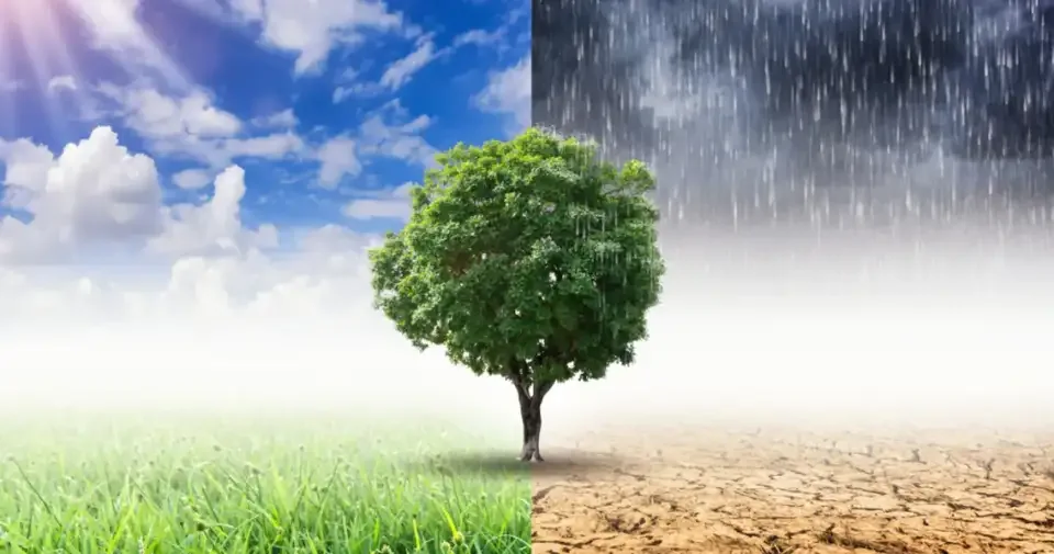 Climat mondial : les catastrophes naturelles coûtent de plus en plus cher